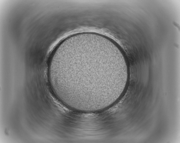 X0000098071502200804181118