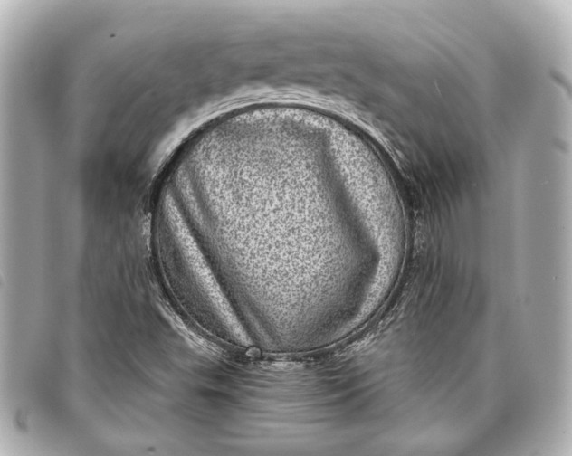 X0000098071503200804181118