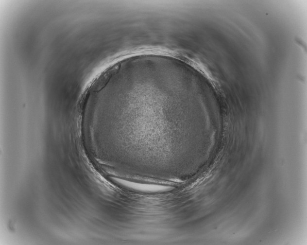 X0000098071504200804181118