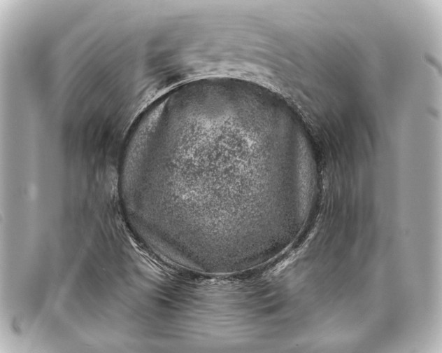 X0000098071505200804181119