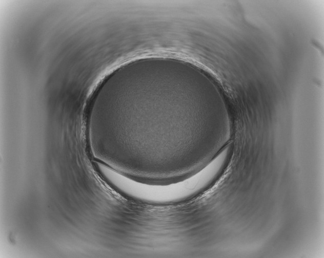 X0000098071506200804181119