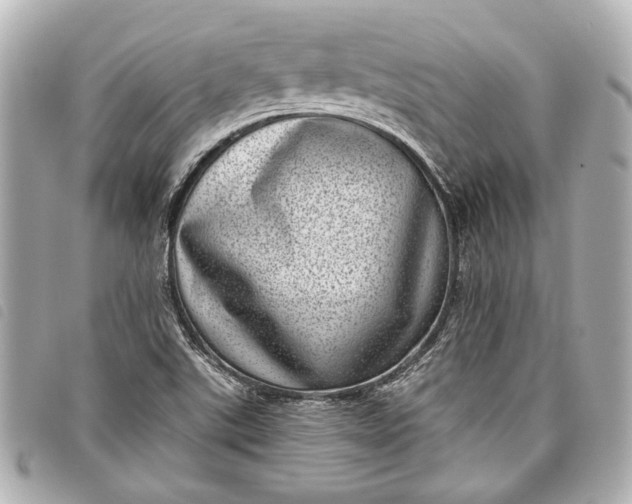 X0000098071507200804181119