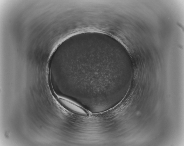 X0000098071508200804181119