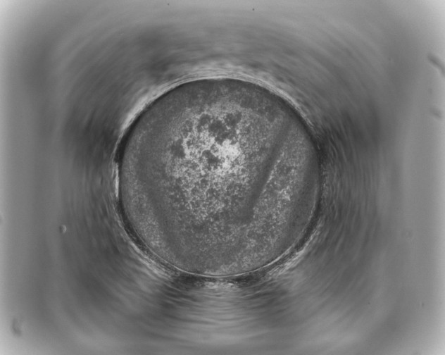 X0000098071509200804181119