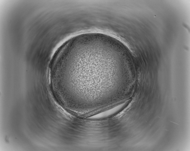 X0000098071510200804181119