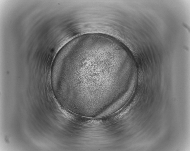 X0000098071513200804181119