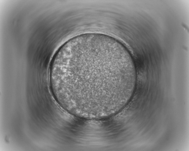 X0000098071514200804181119