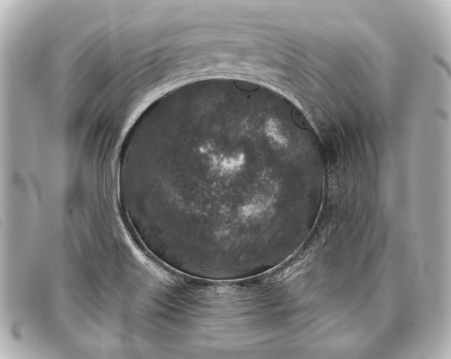 X0000098071515200804181119