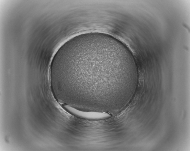 X0000098071516200804181119