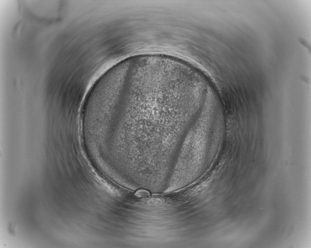 X0000098071517200804181119