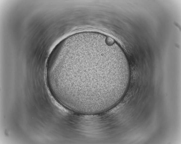 X0000098071518200804181119