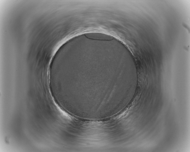 X0000098071519200804181119