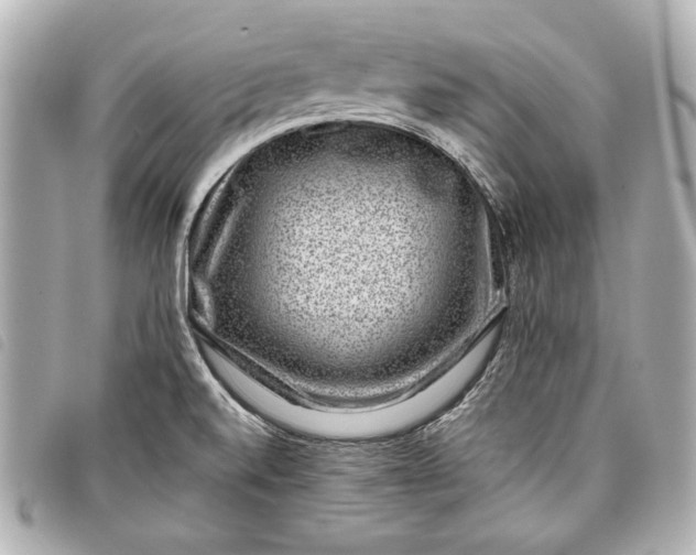 X0000098071520200804181119