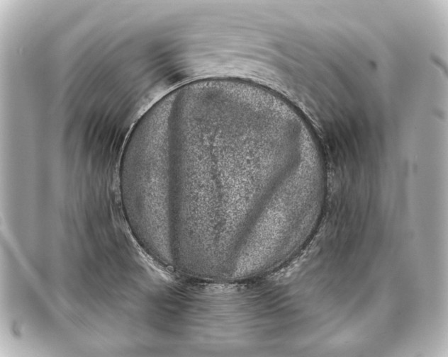 X0000098071521200804181119