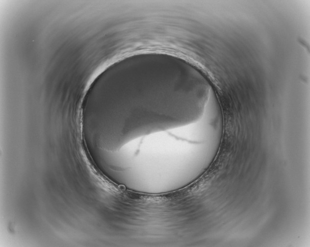 X0000098071522200804181119