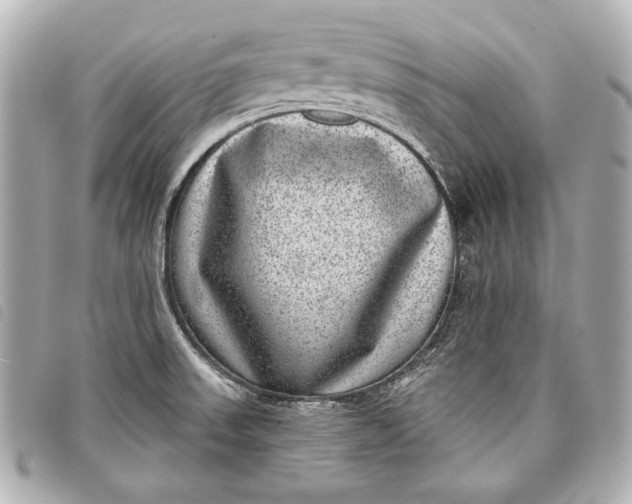 X0000098071523200804181119