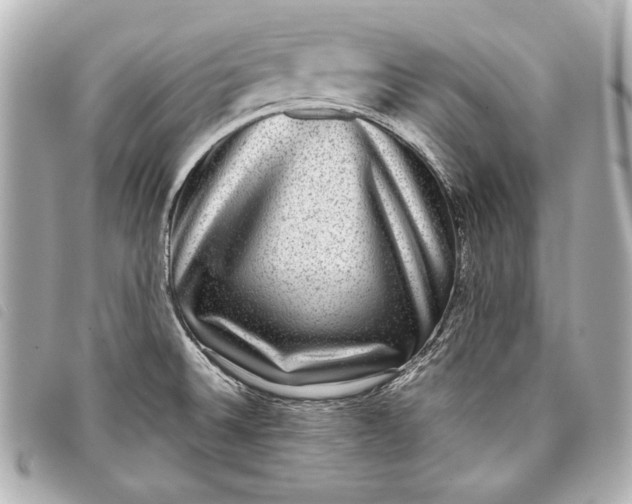 X0000098071524200804181119