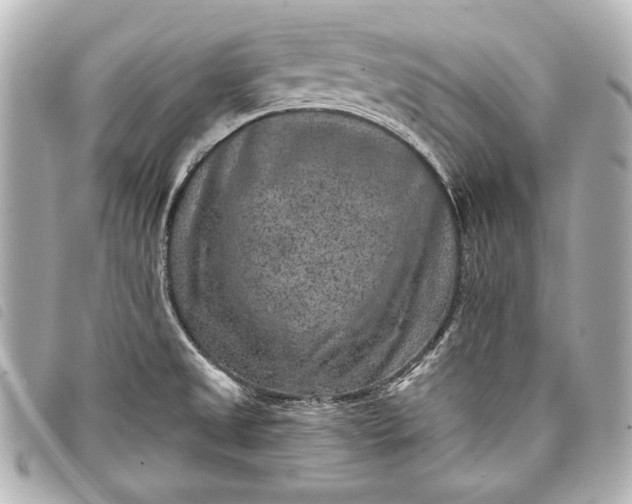 X0000098071525200804181119