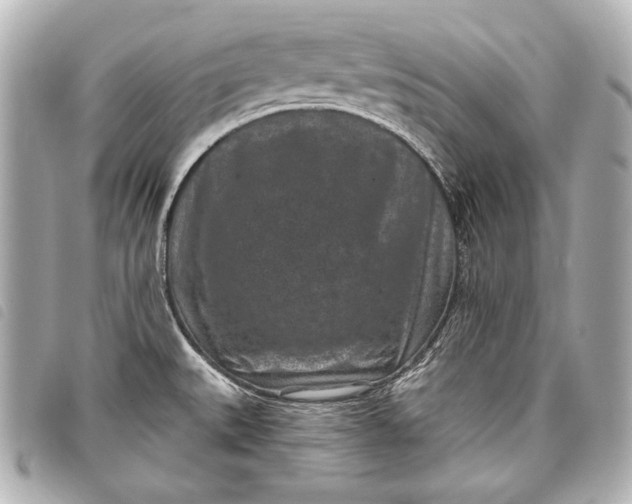 X0000098071527200804181119