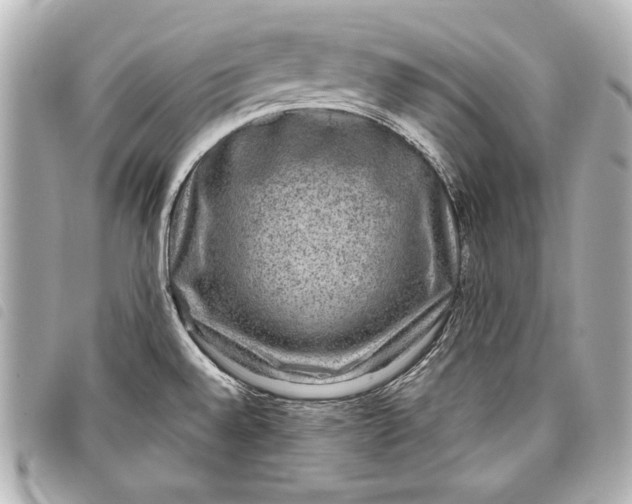 X0000098071528200804181119