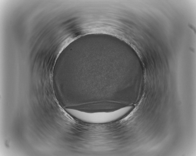 X0000098071529200804181119