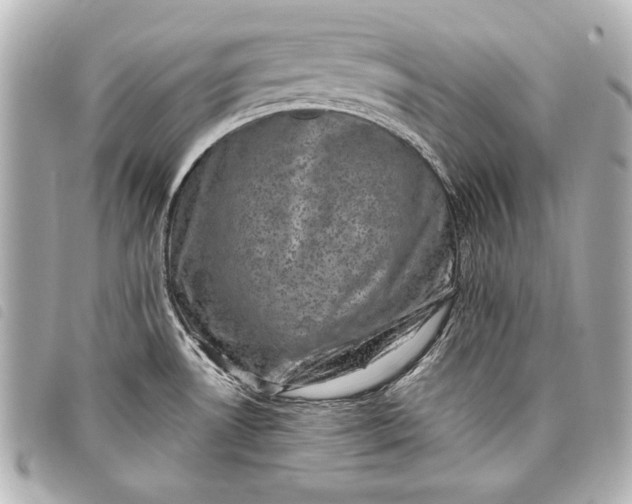 X0000098071530200804181119