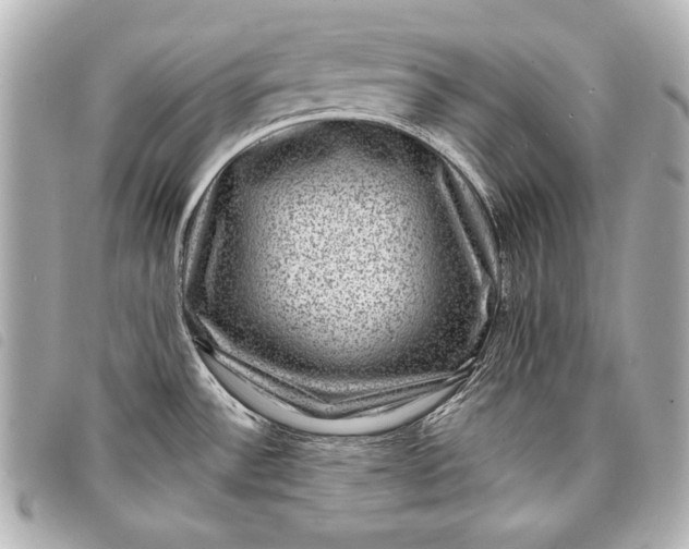 X0000098071532200804181119