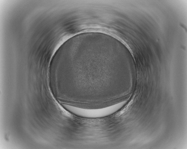 X0000098071533200804181119