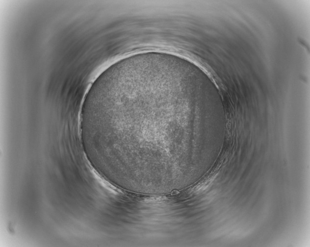 X0000098071535200804181119