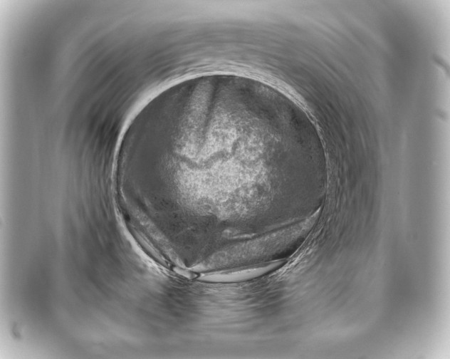 X0000098071536200804181119