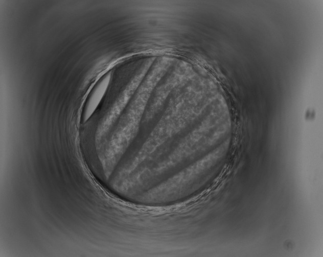 X0000098070002200804251449