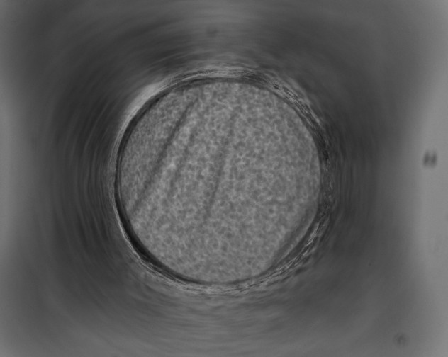 X0000098070003200804251449