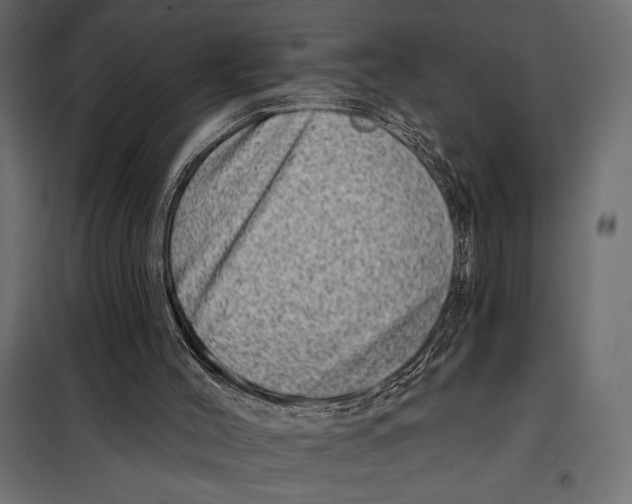 X0000098070004200804251449