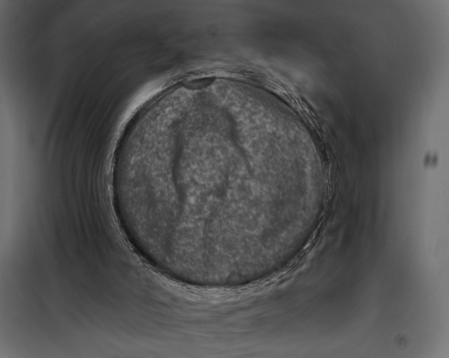 X0000098070006200804251449