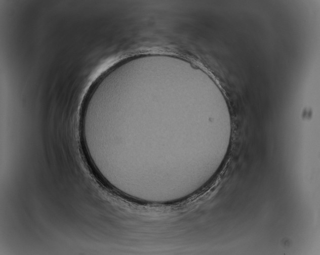 X0000098070008200804251449