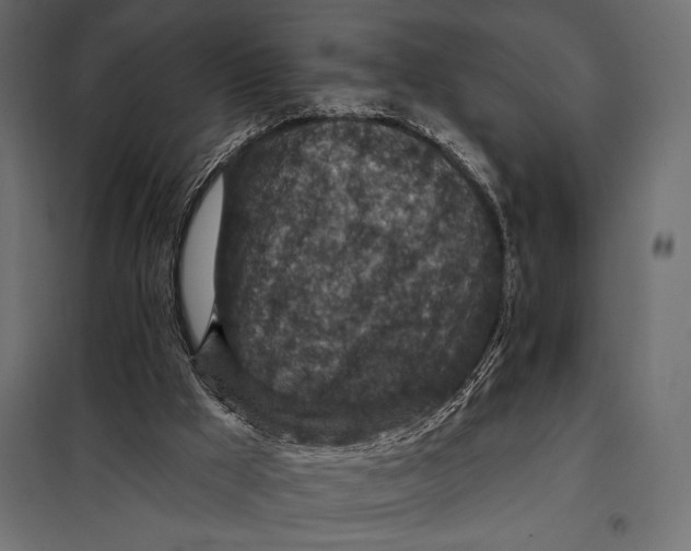 X0000098070009200804251449