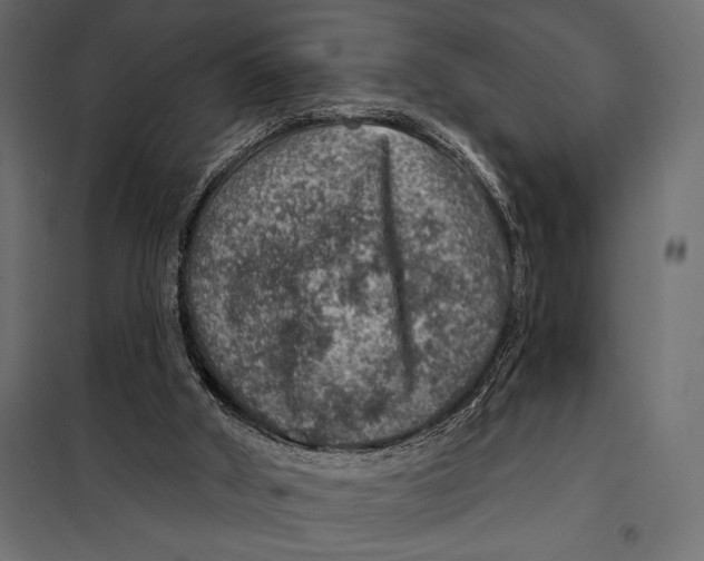 X0000098070010200804251449