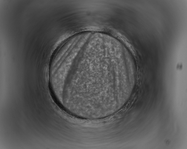 X0000098070011200804251449