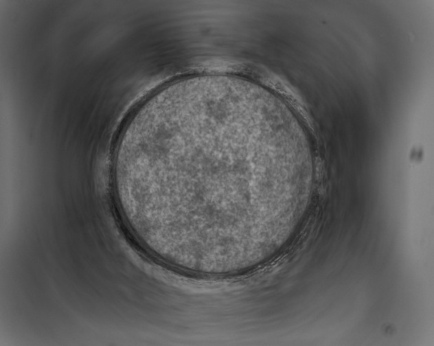 X0000098070012200804251449