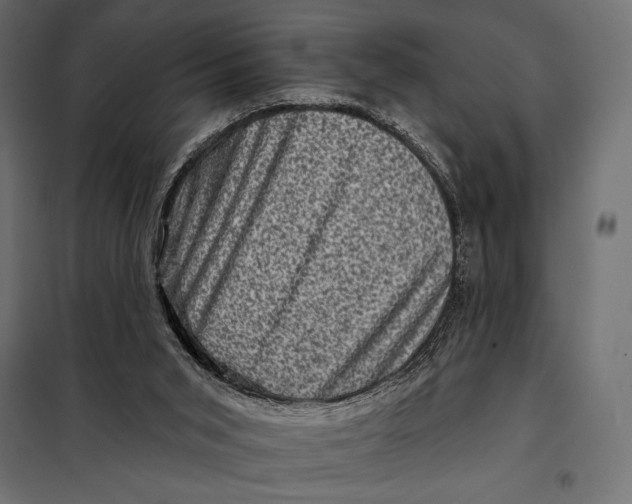 X0000098070015200804251449