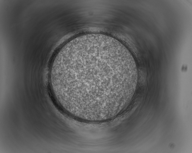 X0000098070016200804251449