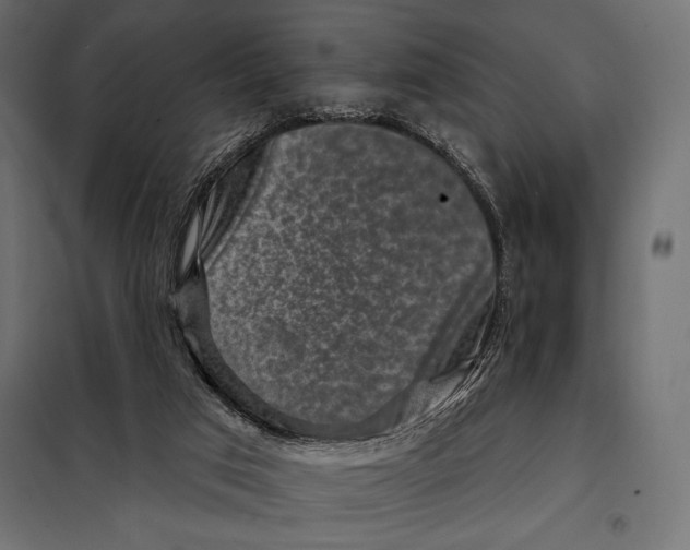 X0000098070017200804251449