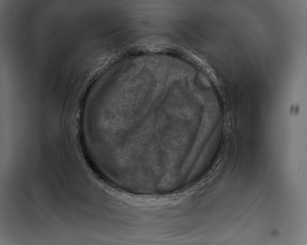 X0000098070018200804251449