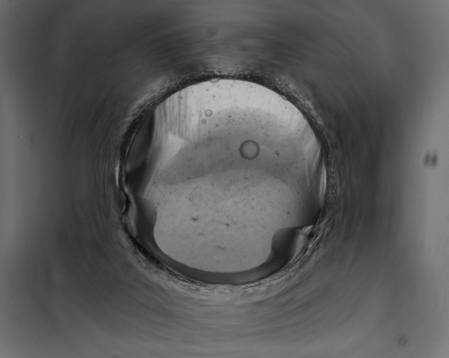 X0000098070019200804251449