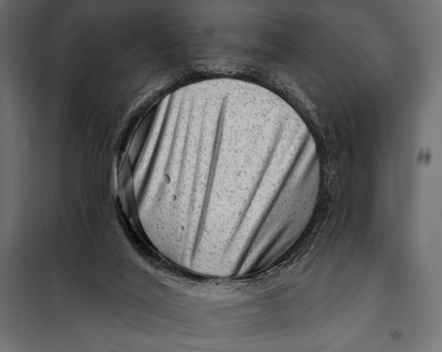 X0000098070020200804251449