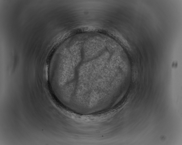 X0000098070022200804251449