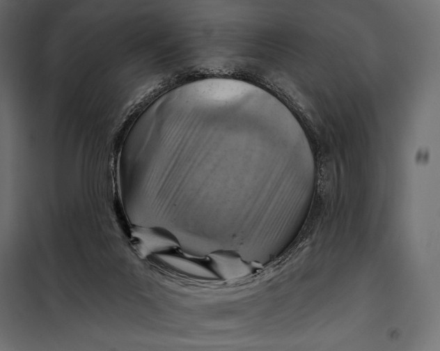 X0000098070023200804251449