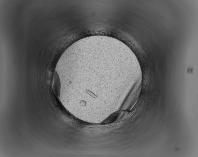 X0000098070025200804251449