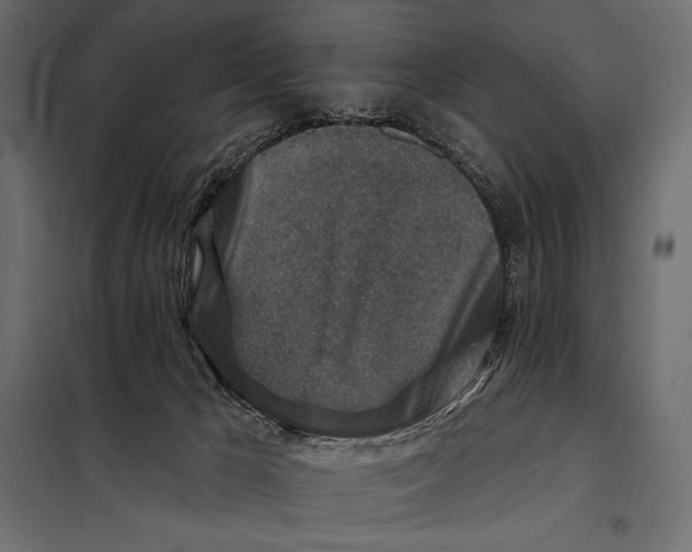 X0000098070029200804251448