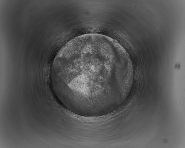 X0000098070030200804251448